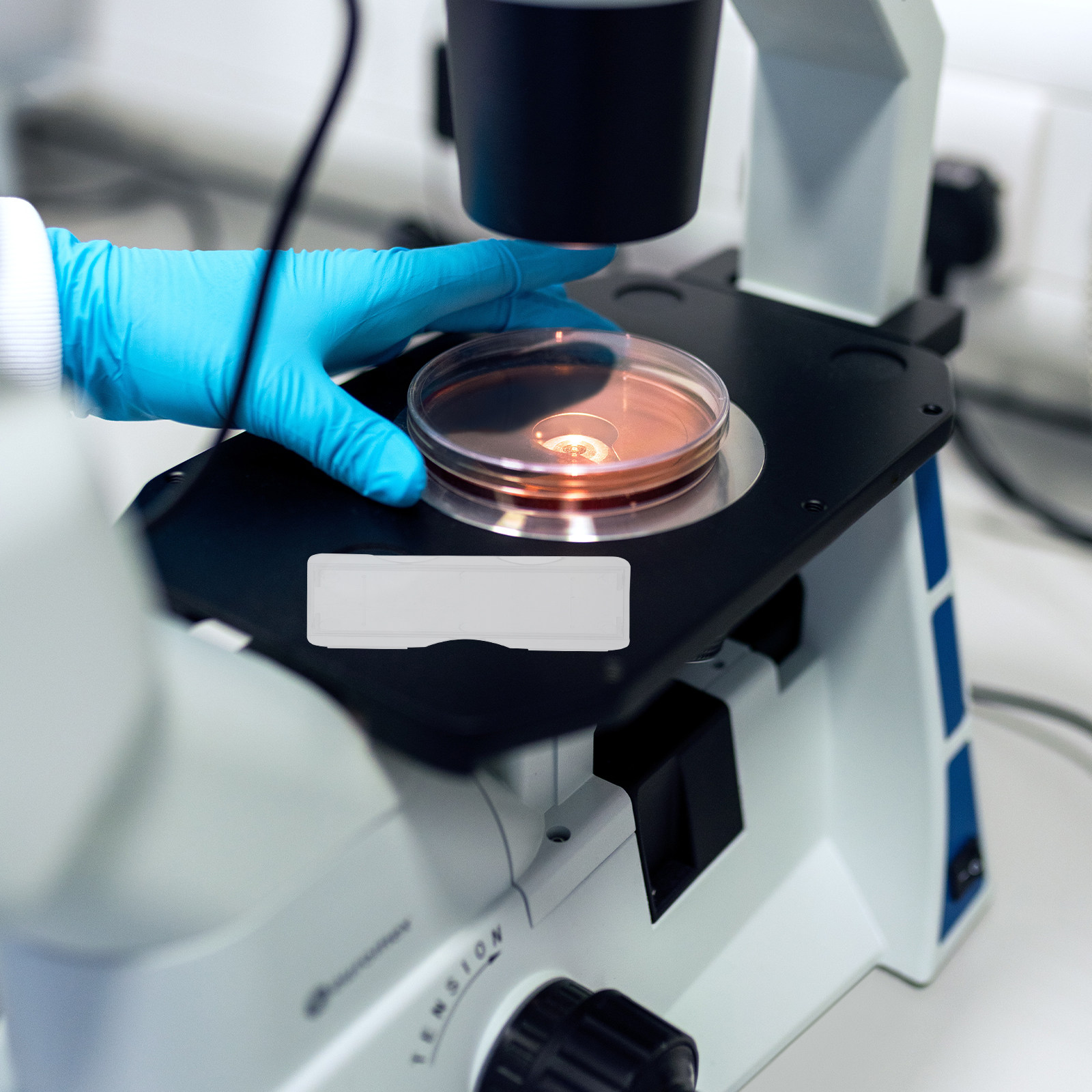 100個のプラスチック製顕微鏡スライドホルダーボックス、個別 - Pathology Slide Storage のレビューと価格