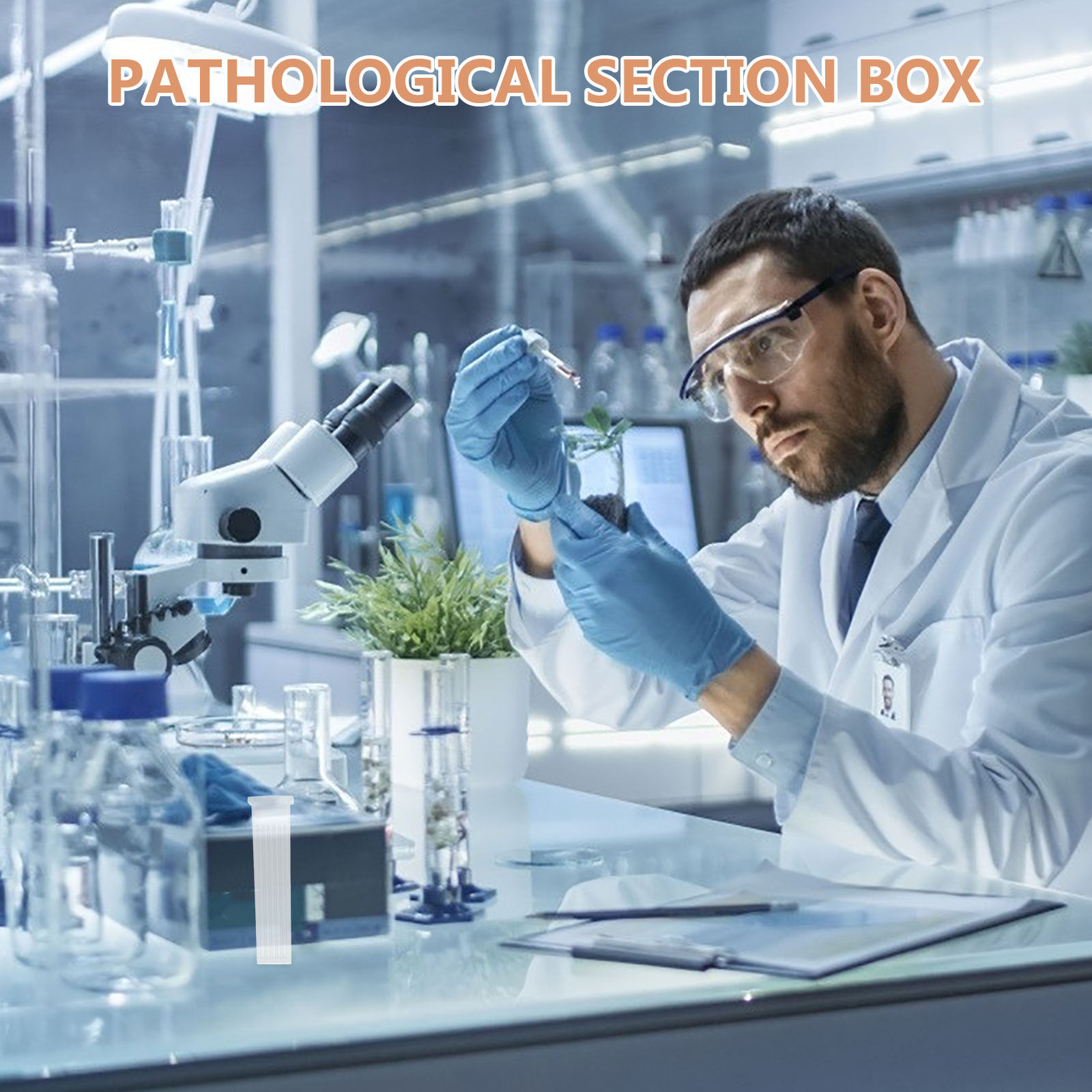 10個入り病理スライド収納ボックス 透明プラスチック製コプリ - Pathology Slide Storage のレビューと価格